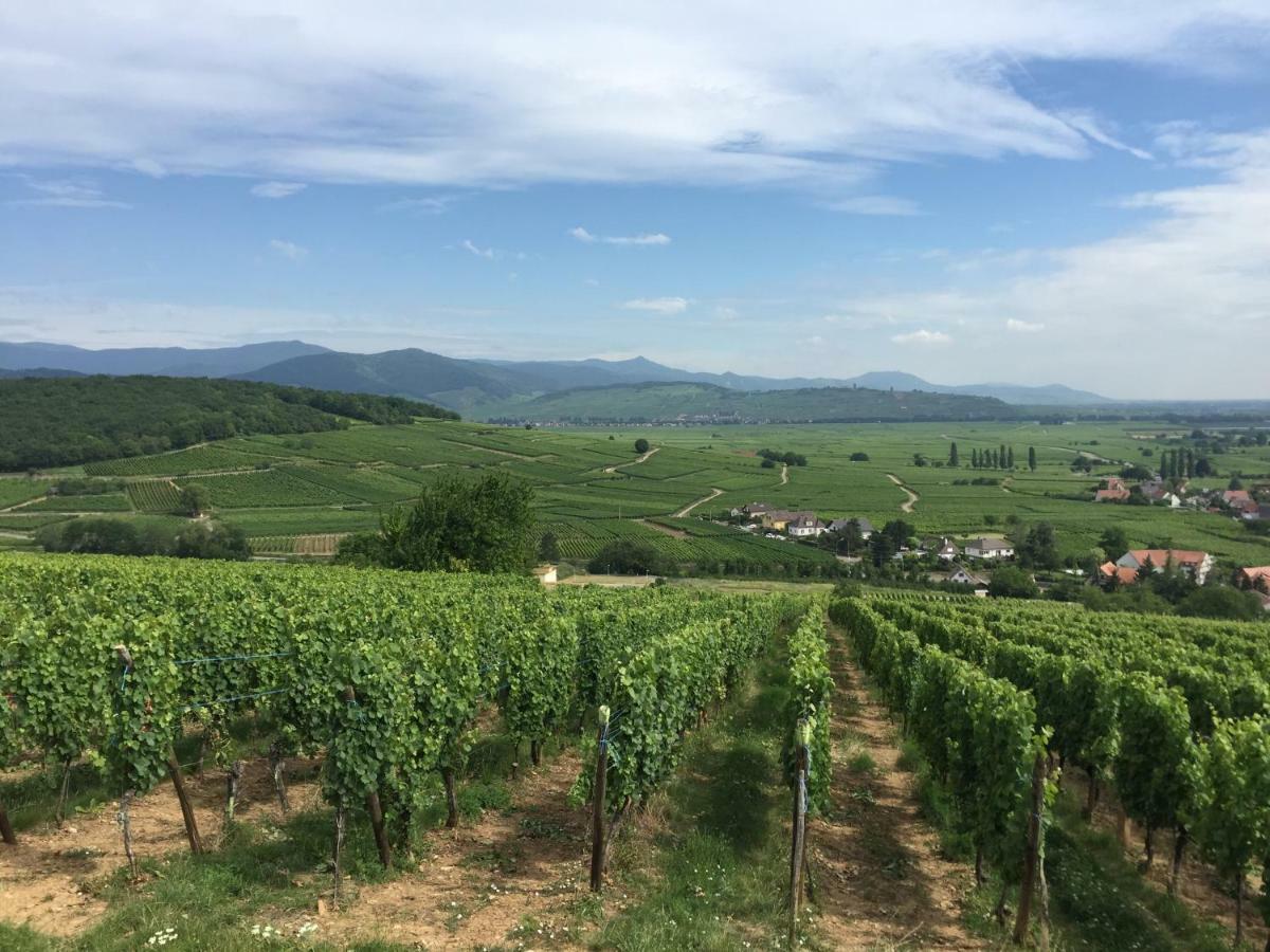 La Tour Gites Du Florimont Ingersheim Luaran gambar